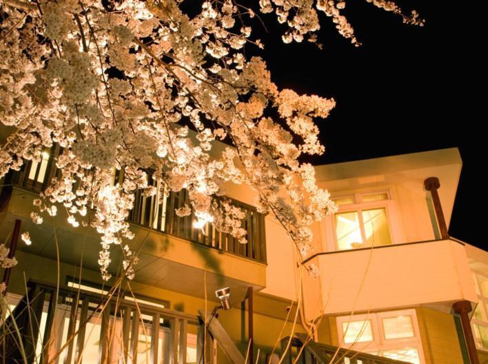 Petit Resort Hotel Alcyon Ито Экстерьер фото