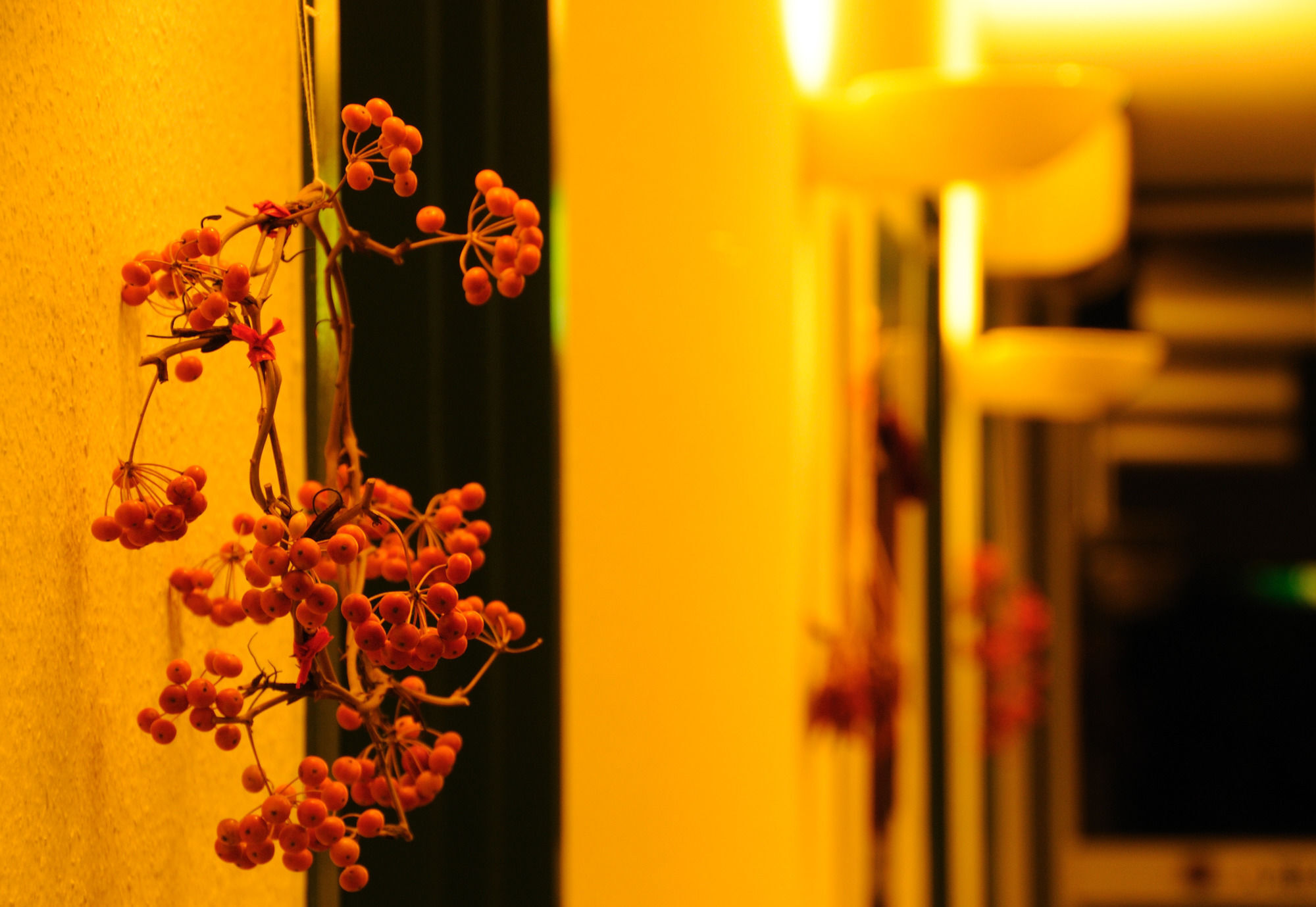 Petit Resort Hotel Alcyon Ито Экстерьер фото